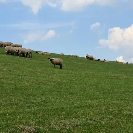 別荘 Haus Moorrose