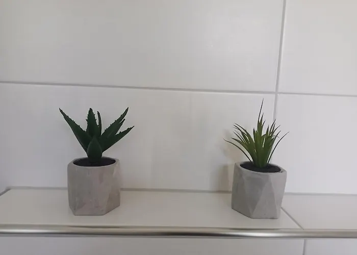 Haus Moorrose Schweiburg