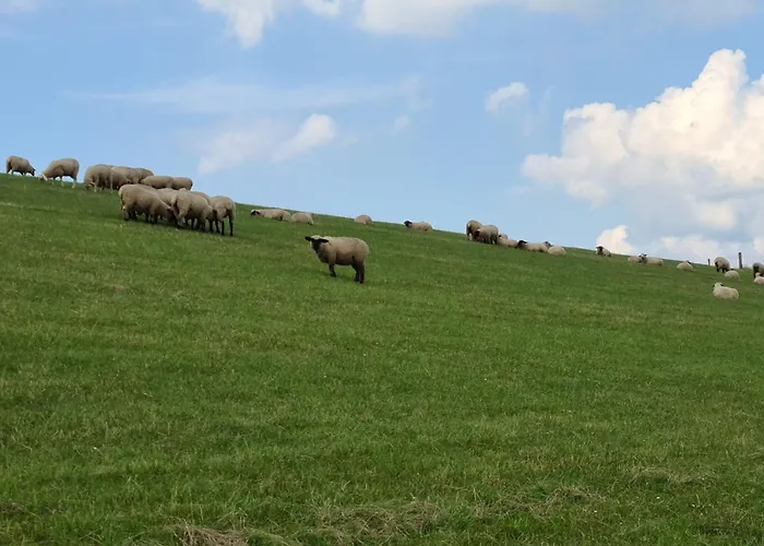 度假居 Haus Moorrose