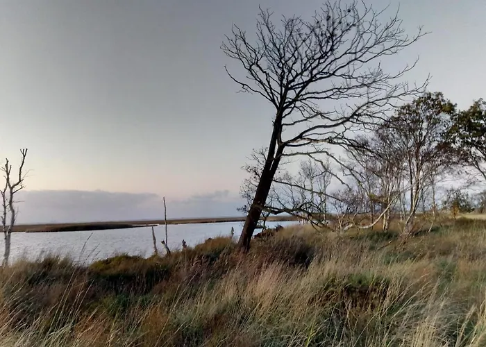 Haus Moorrose * Schweiburg